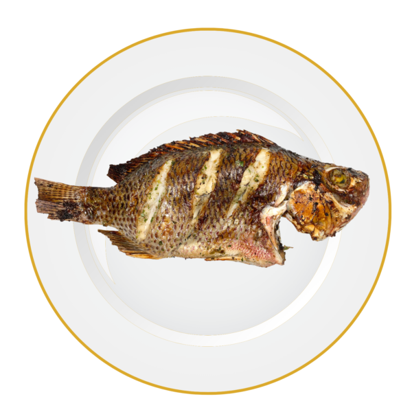 Whole Tilapia-New